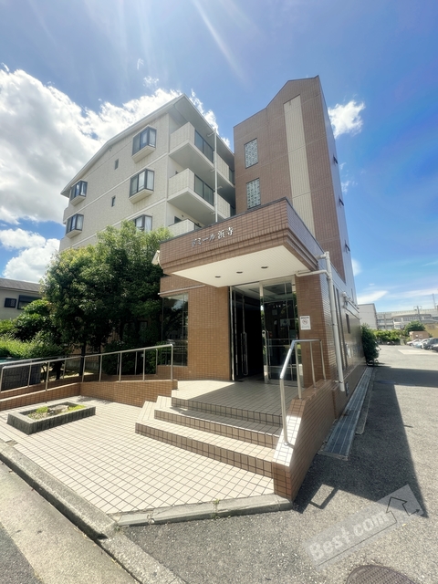 ドミール浜寺の賃貸物件