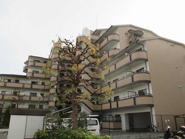 瑞光四丁目駅より徒歩11分 築29年 7階建の賃貸物件