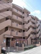  築30年5ヶ月 5階建の賃貸物件