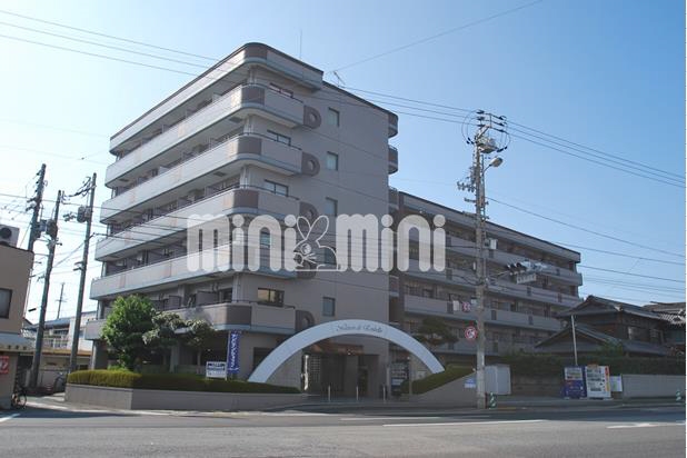 土橋駅より徒歩14分 築37年7ヶ月 6階建の賃貸物件